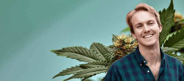 Survival, Retail Reality, and Why Cannabis Still Points to the Future featured image