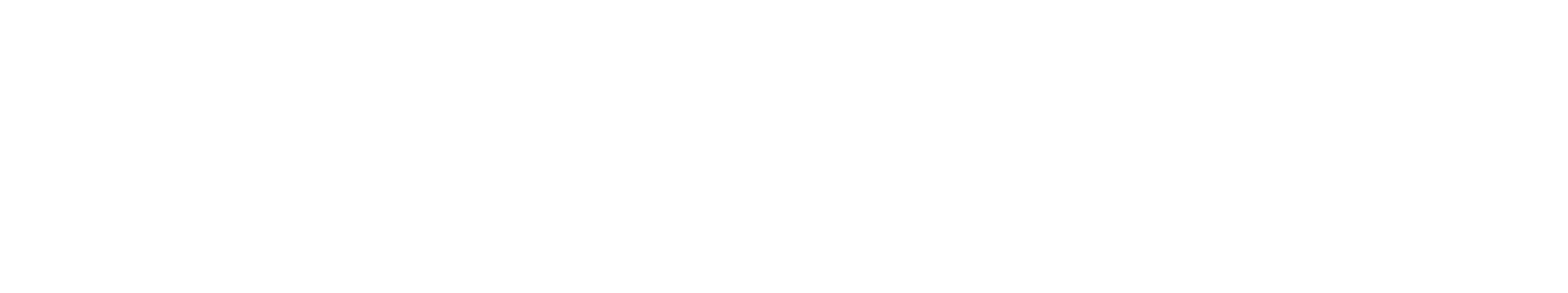 SparkPlug