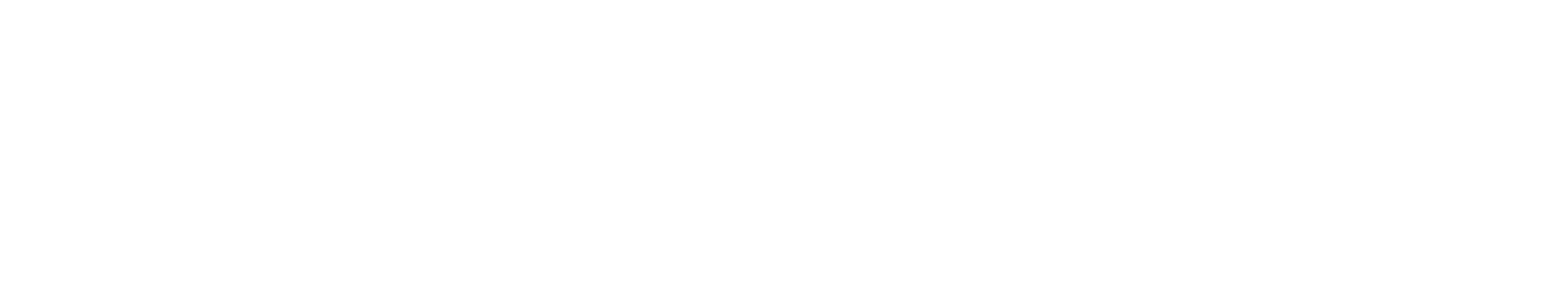 SparkPlug